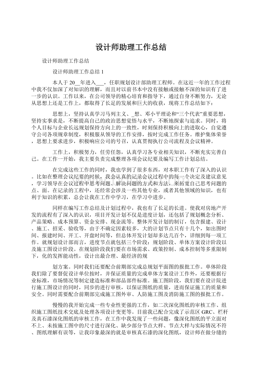 设计师助理工作总结文档格式.docx