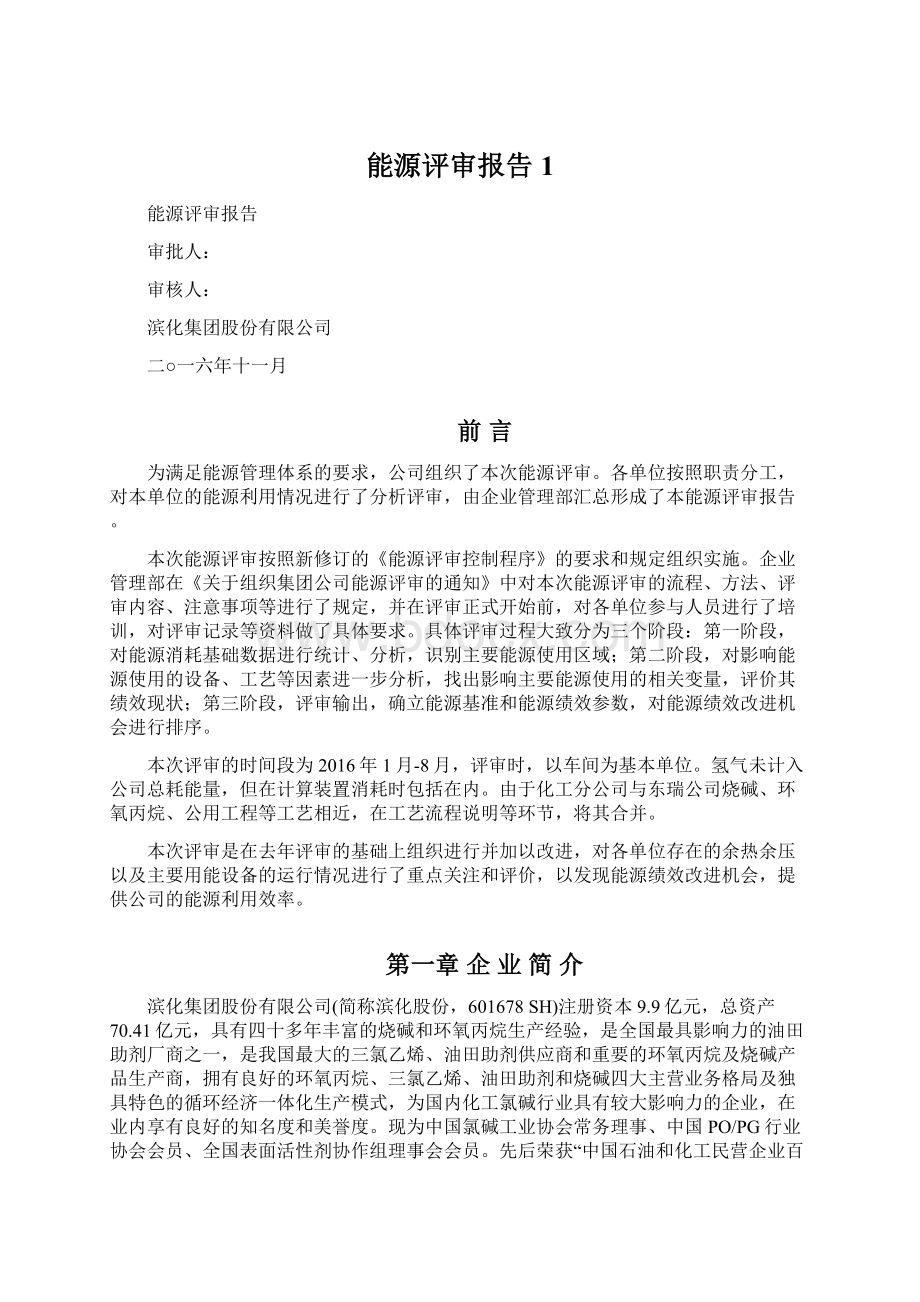 能源评审报告1.docx_第1页