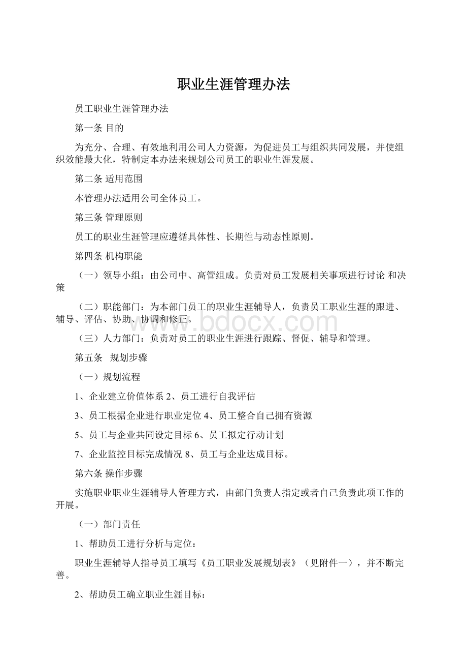 职业生涯管理办法Word文档下载推荐.docx