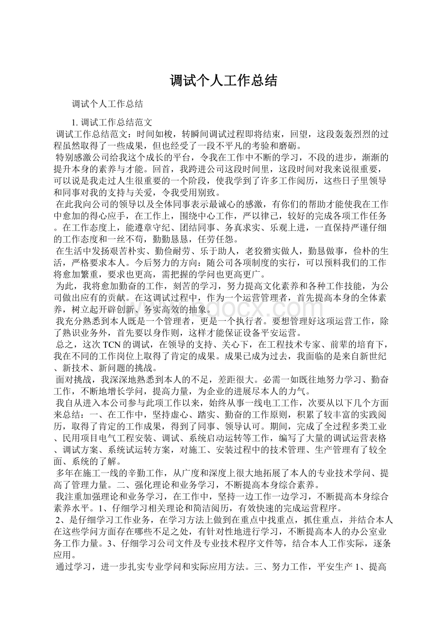 调试个人工作总结Word下载.docx