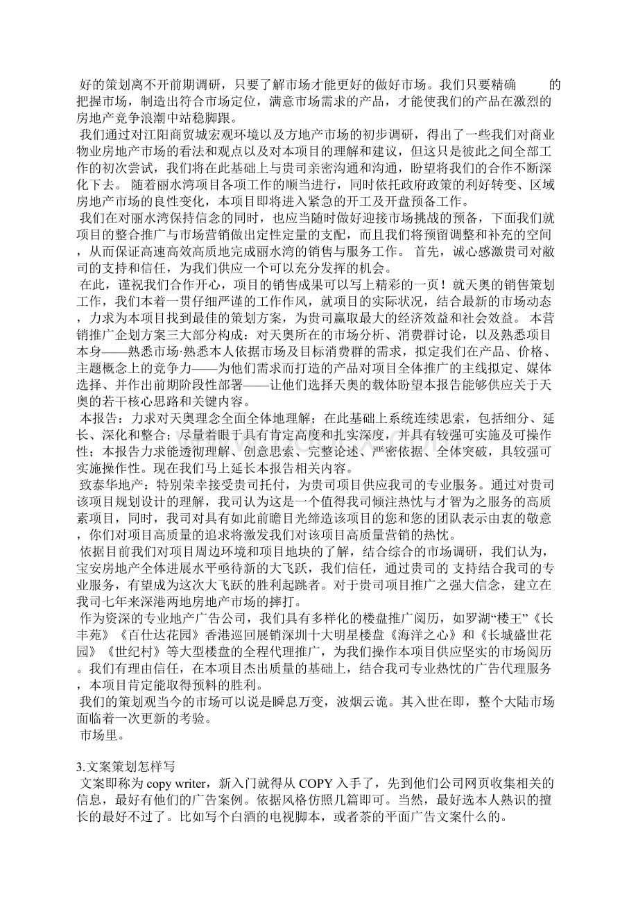 怎么写文案策划文档格式.docx_第2页