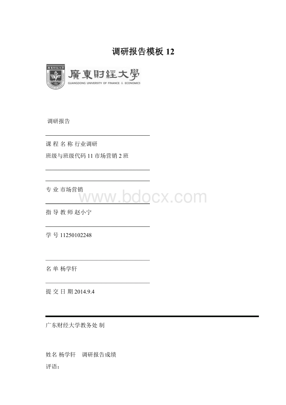 调研报告模板12Word文档下载推荐.docx