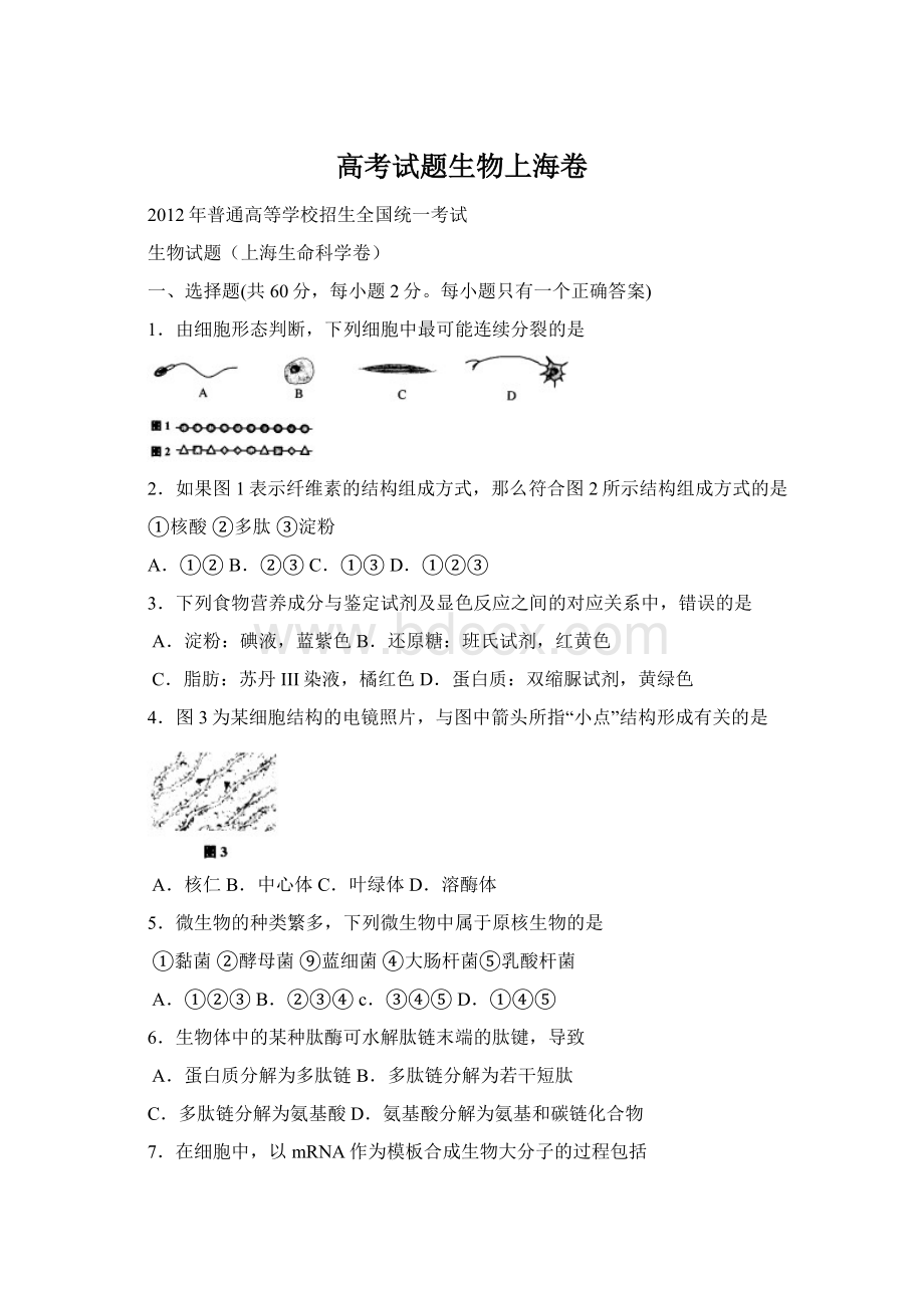 高考试题生物上海卷Word文件下载.docx