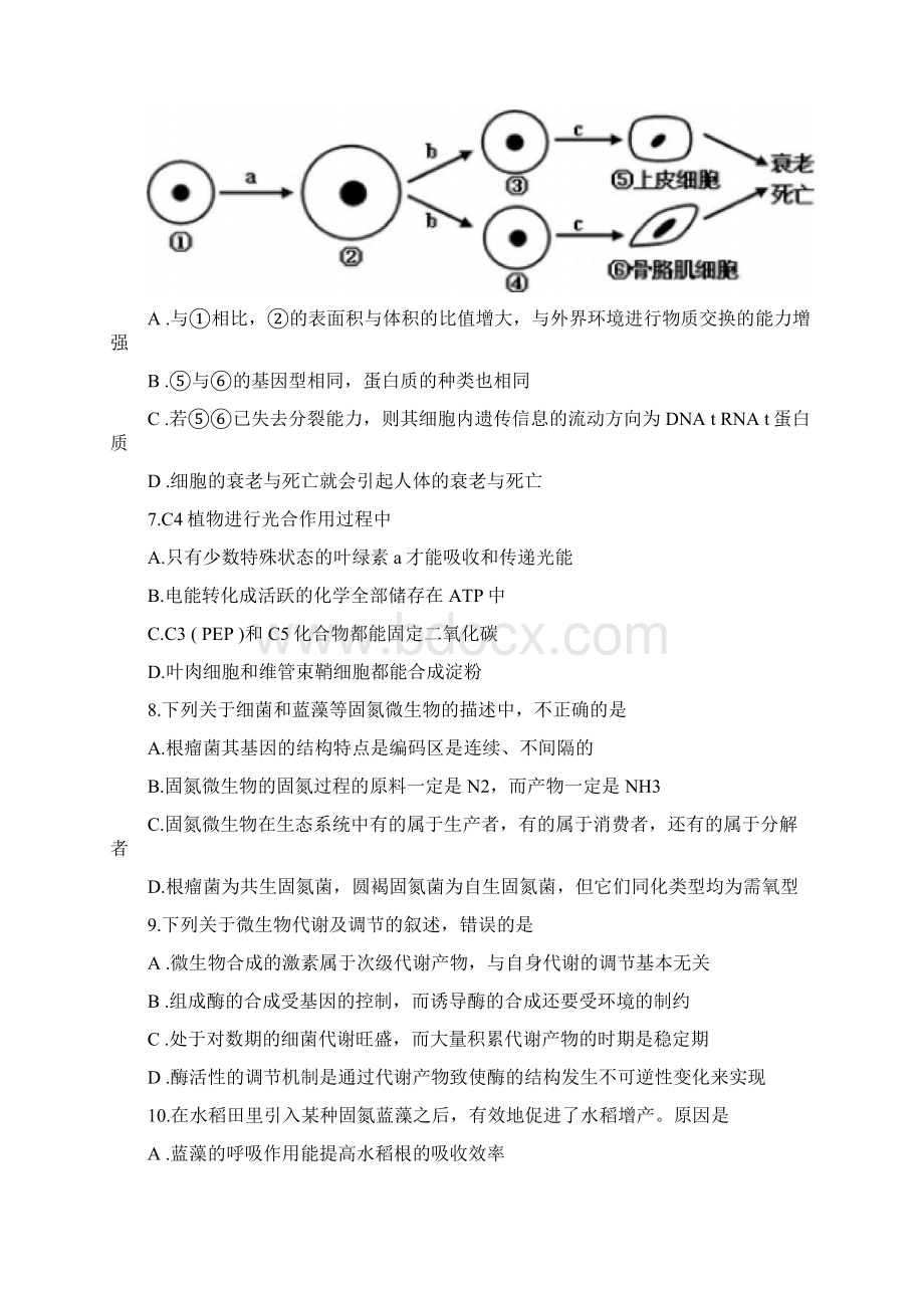 高中生物模拟题及答案Word格式.docx_第3页