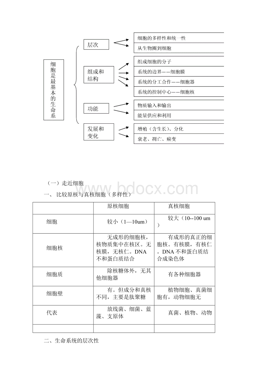 高中生物必修一教案.docx_第2页