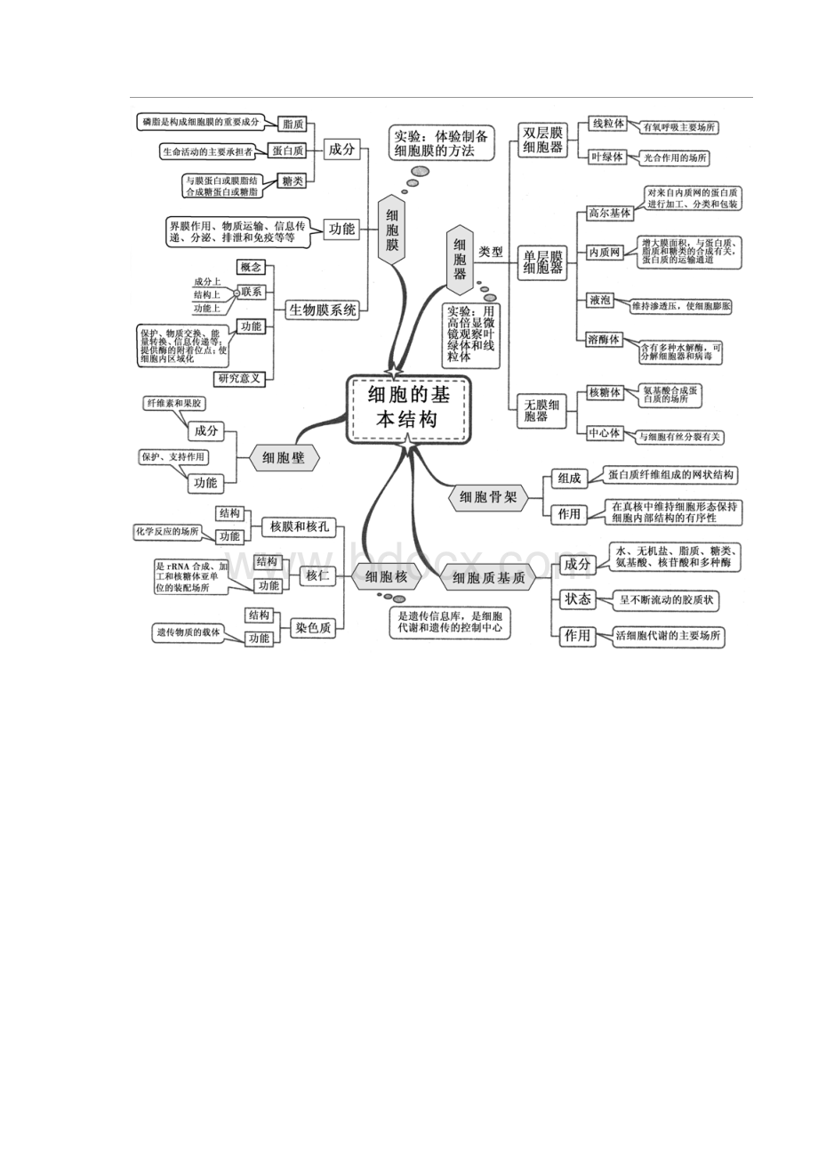 高中生物思维导图 2.docx_第2页