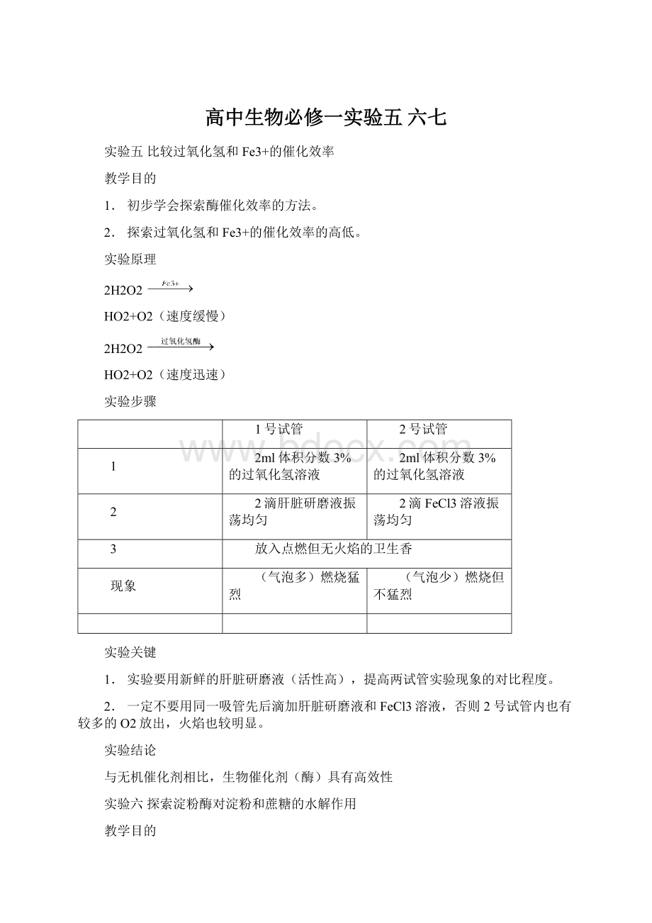 高中生物必修一实验五 六七.docx_第1页