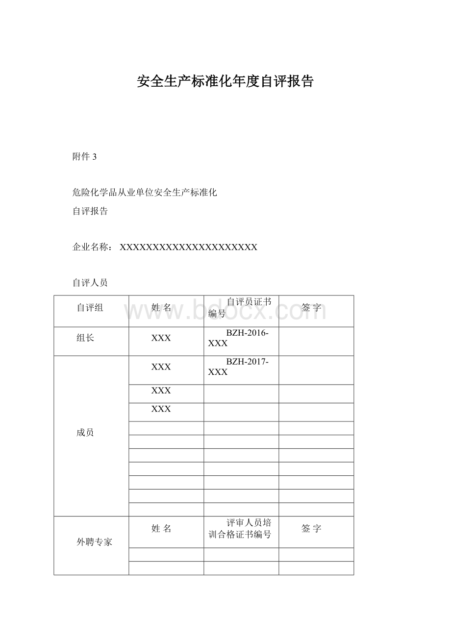 安全生产标准化年度自评报告.docx_第1页