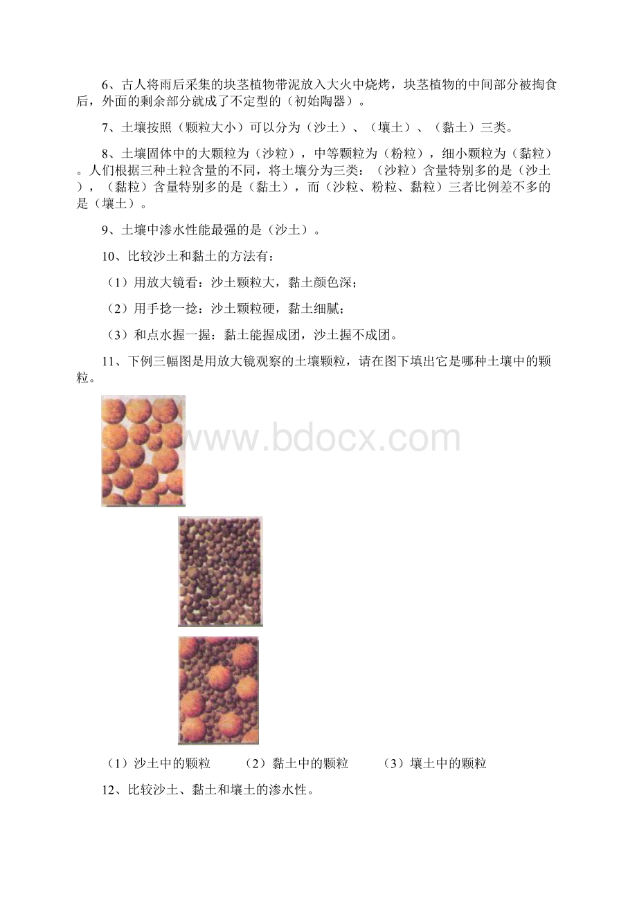 苏教版小学三年级科学下册重点复习资料 2.docx_第2页