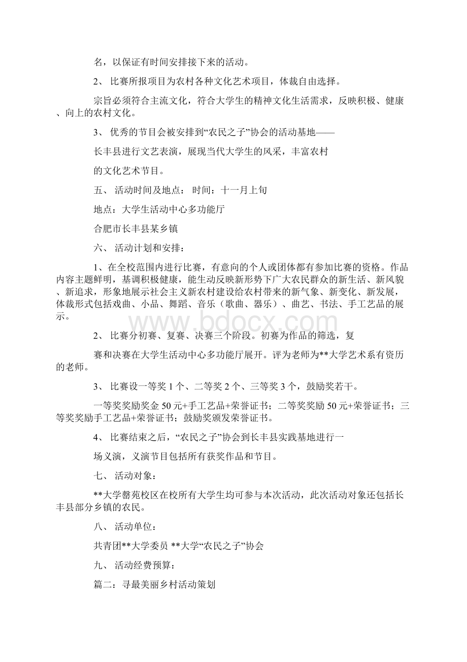 农村活动策划.docx_第2页