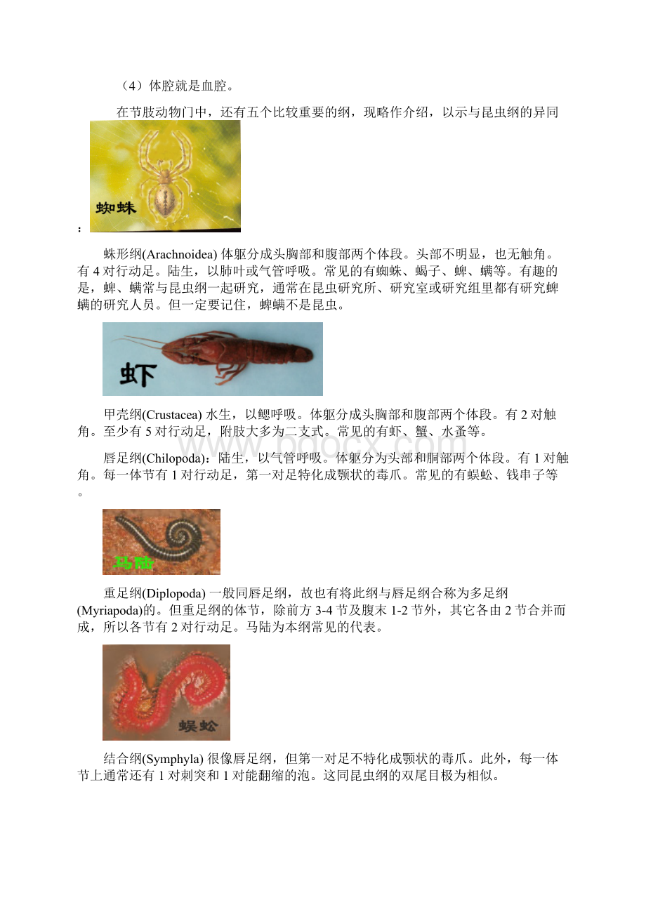 昆虫为什么这样多文档格式.docx_第3页