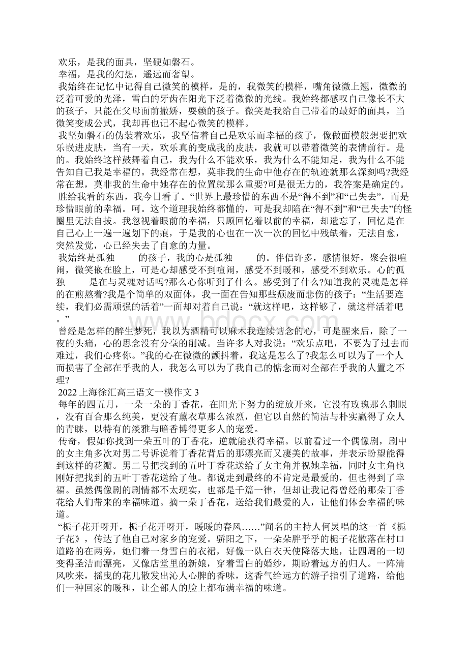 上海徐汇高三语文一模作文Word文件下载.docx_第2页