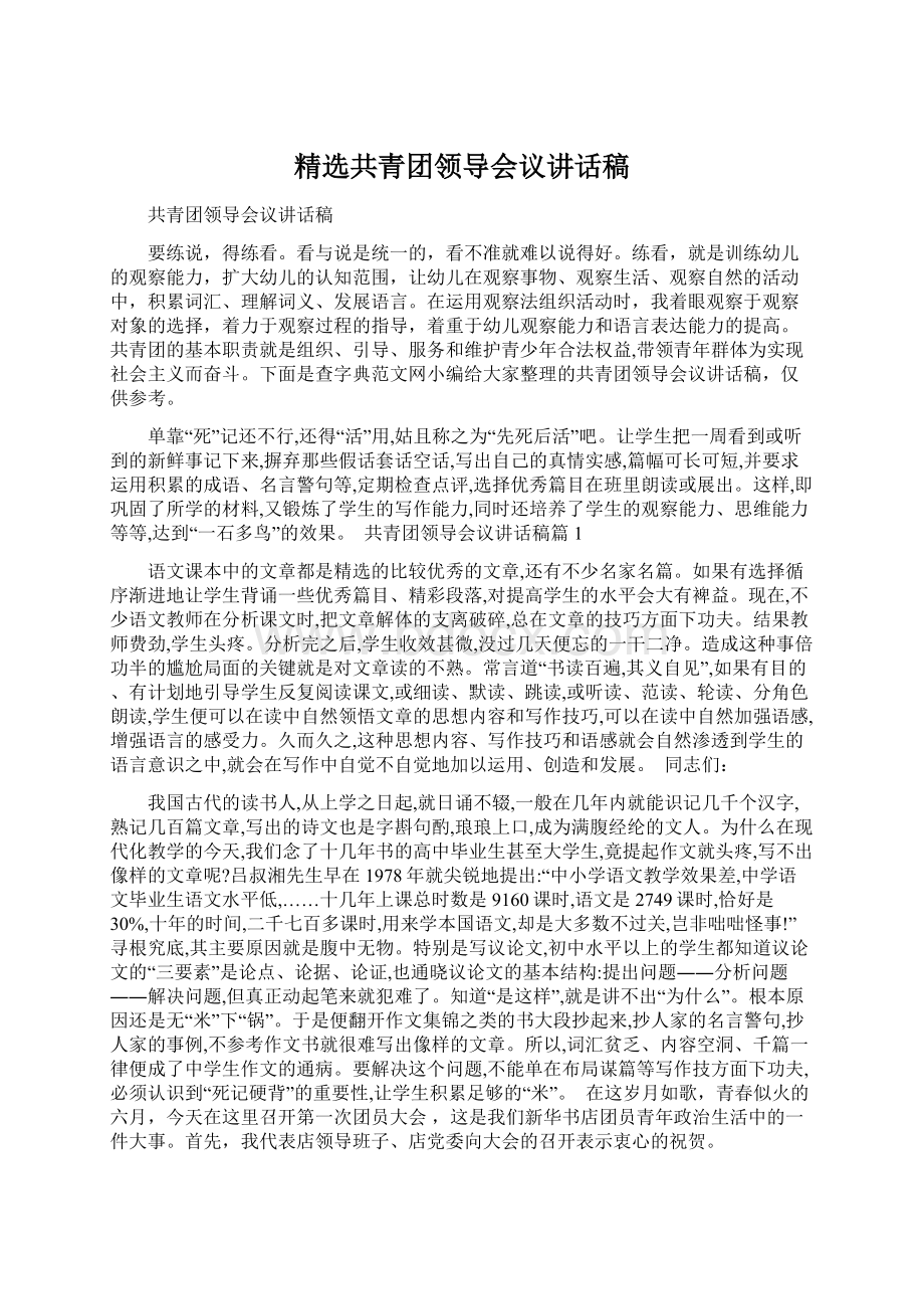 精选共青团领导会议讲话稿Word格式文档下载.docx