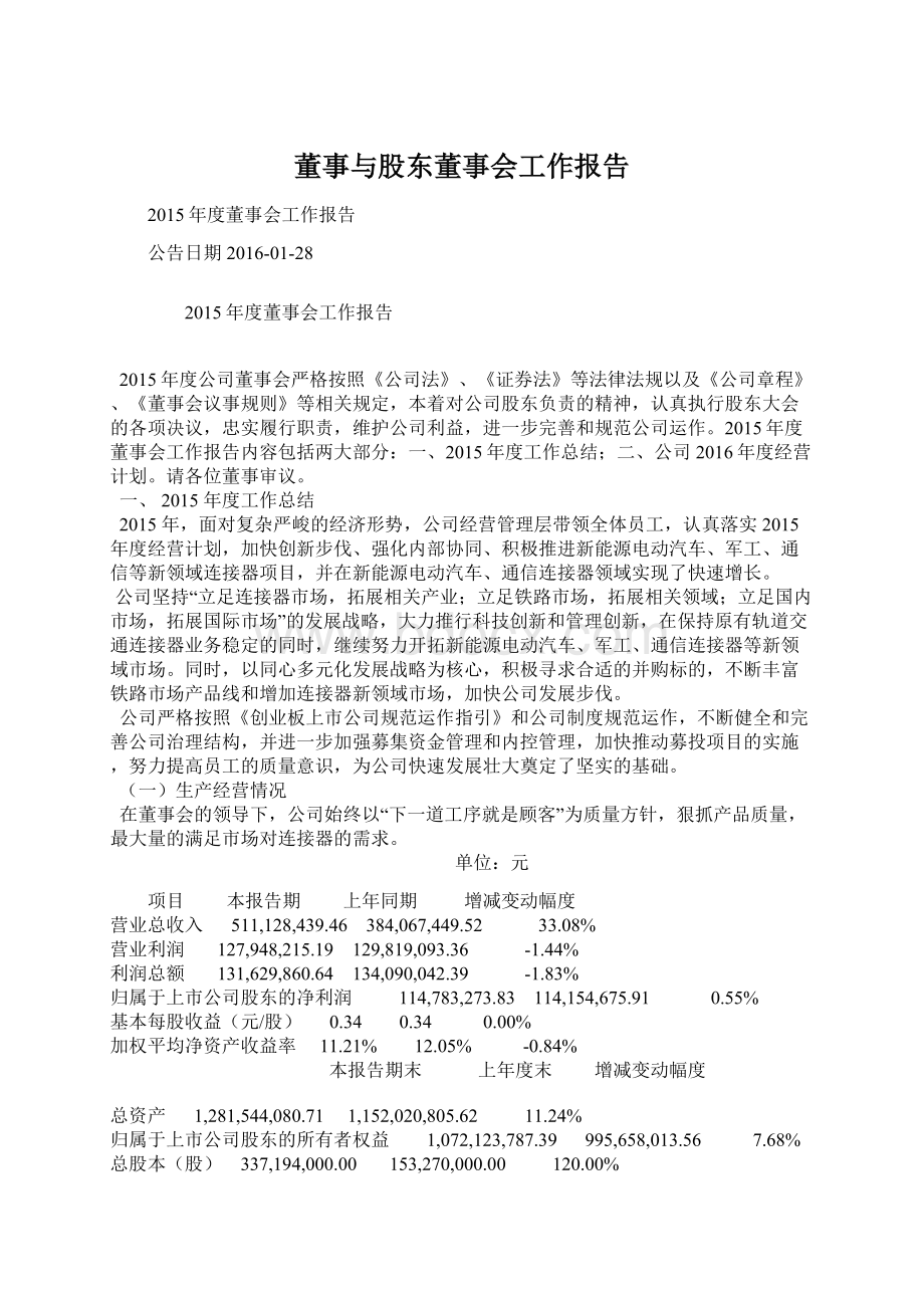 董事与股东董事会工作报告.docx