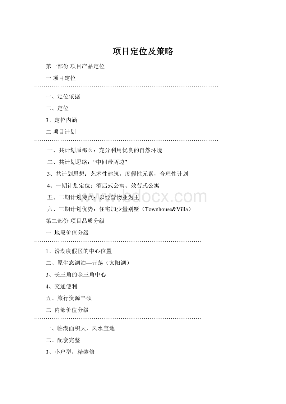 项目定位及策略Word文档格式.docx