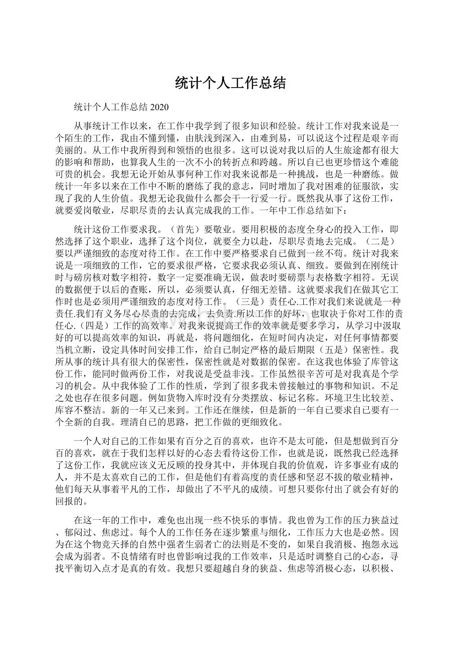 统计个人工作总结.docx_第1页