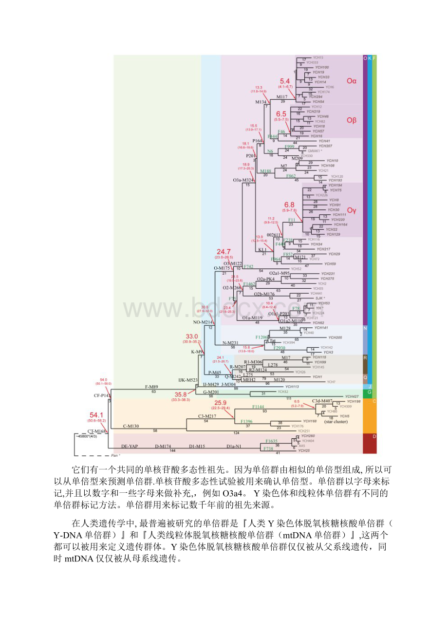 中国人种基因图谱.docx_第2页