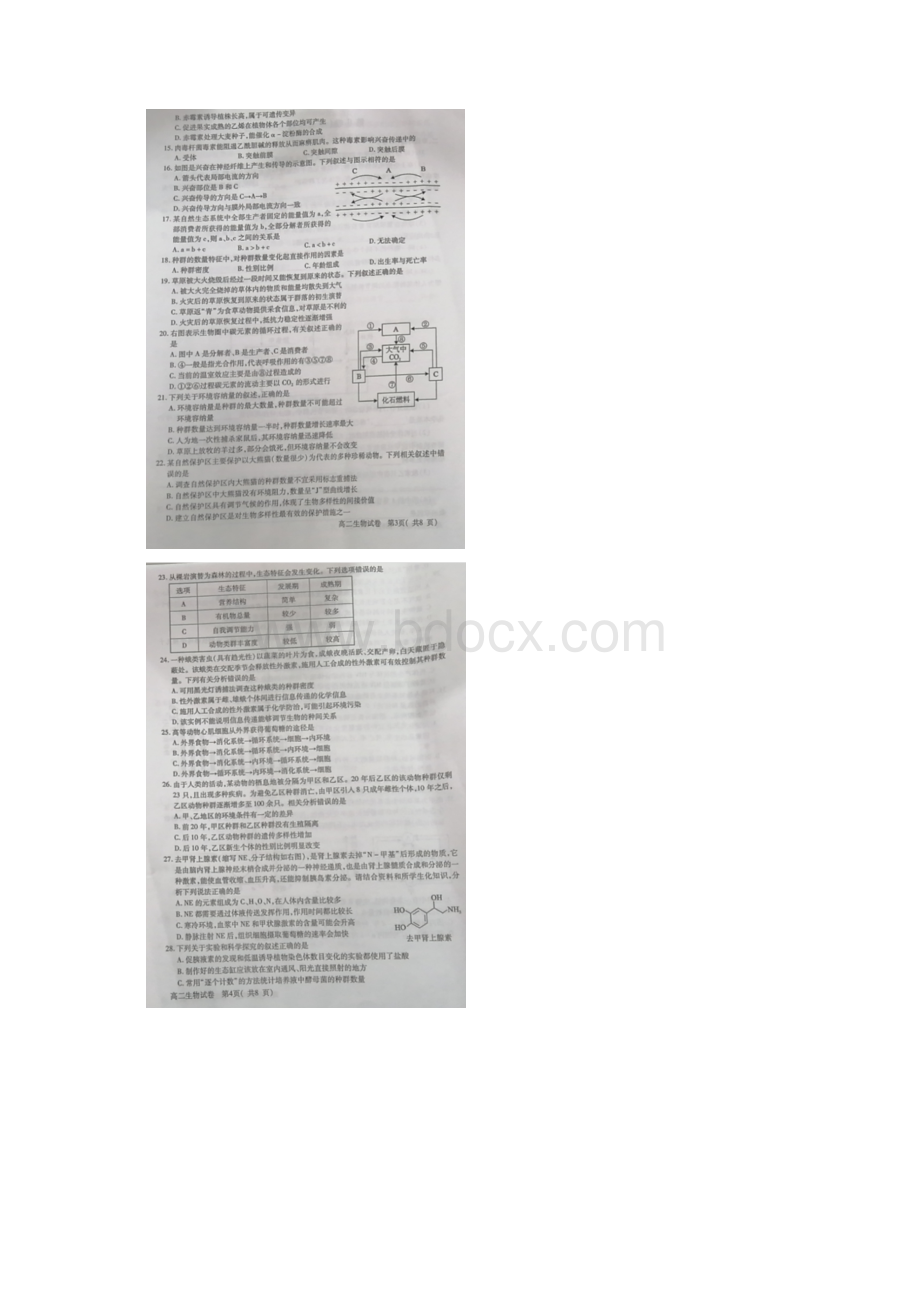 四川省德阳市学年高二生物上学期期末考试试题扫描版.docx_第3页
