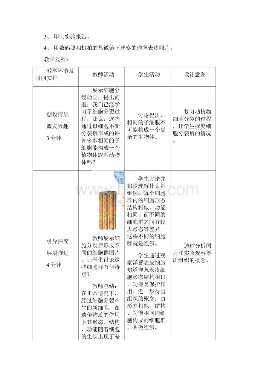 初中生物七年级上册《细胞的分裂和分化》教学设计.docx_第2页