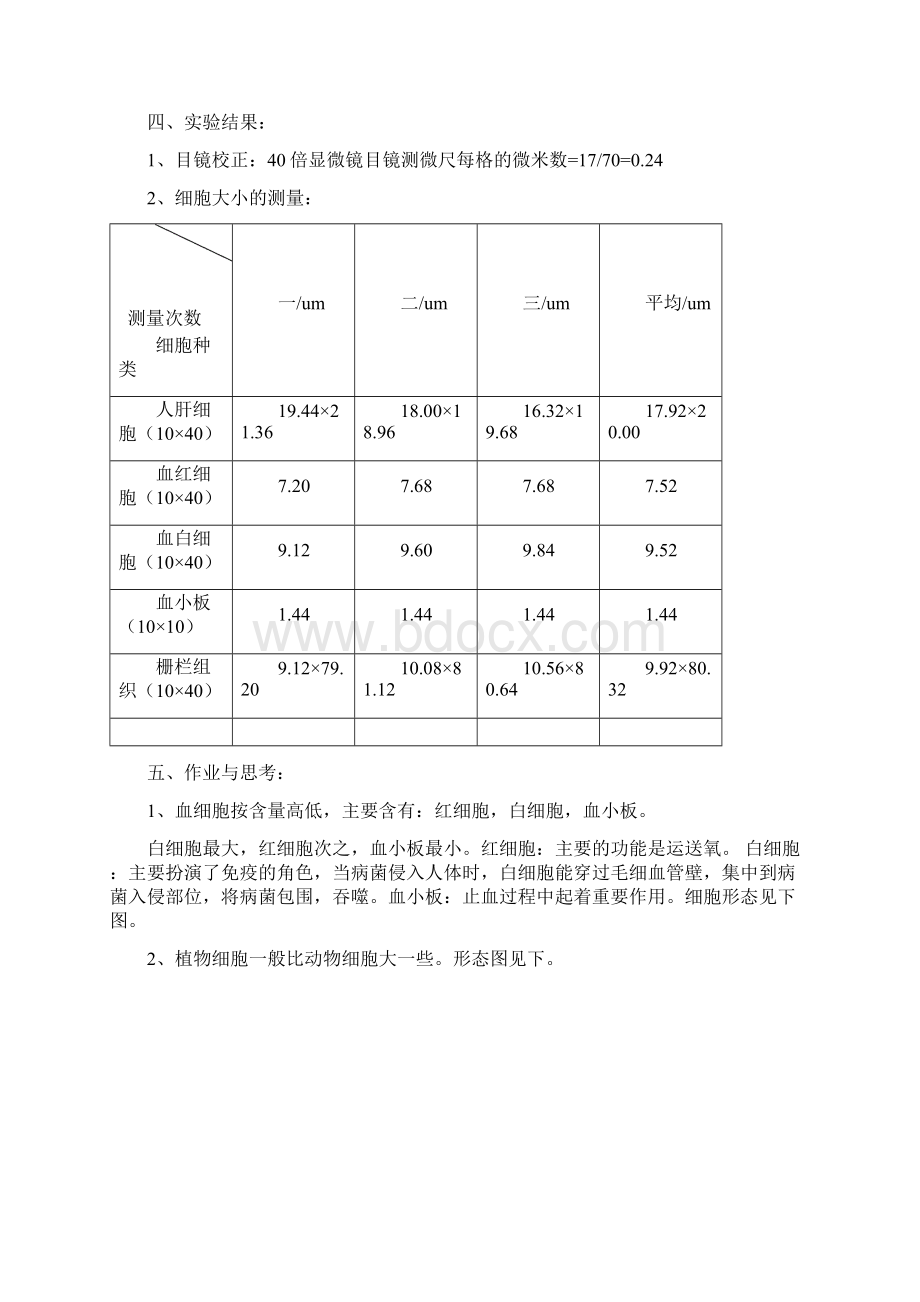 细胞生物学实验报告.docx_第2页