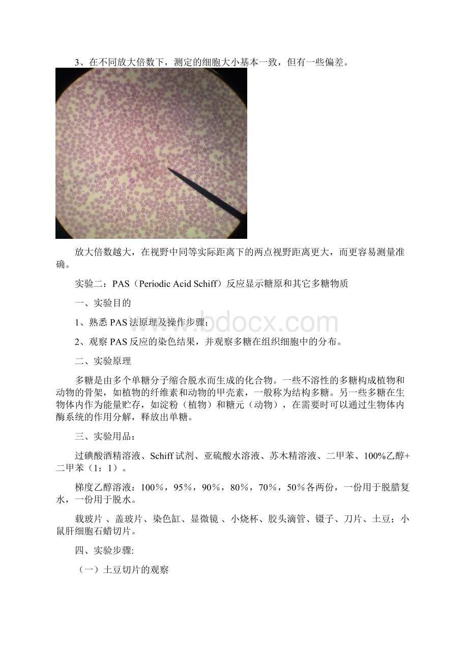 细胞生物学实验报告.docx_第3页