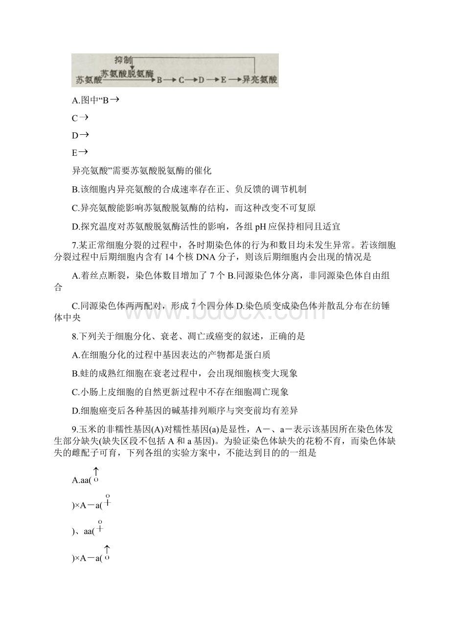 安徽省皖江名校联盟届高三第一次联考 生物 Word版含解斩Word文档下载推荐.docx_第3页