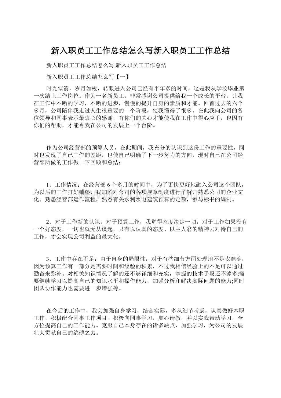 新入职员工工作总结怎么写新入职员工工作总结.docx