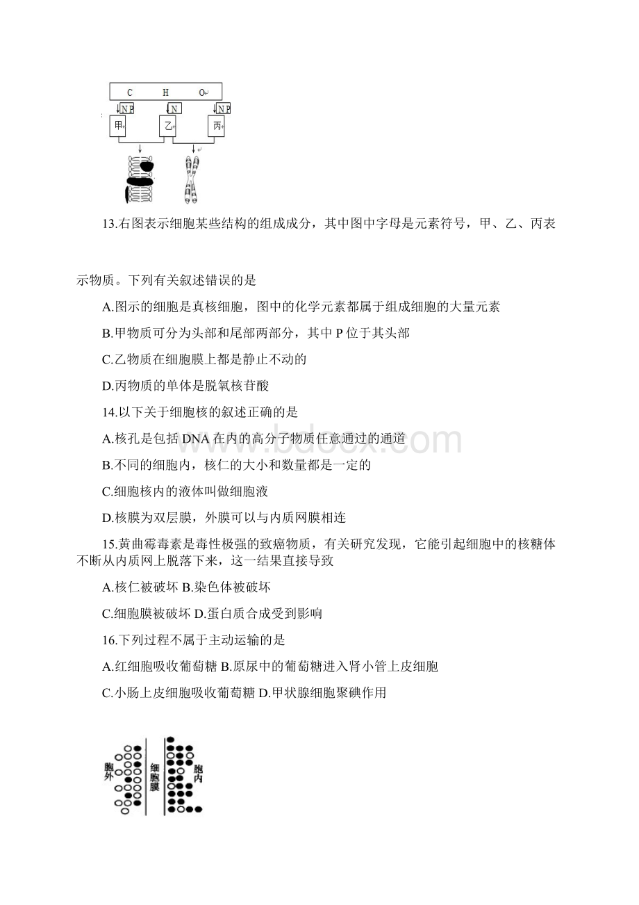 黑龙江省哈尔滨市高一上学期期末测试生物试题有答案已审阅.docx_第3页