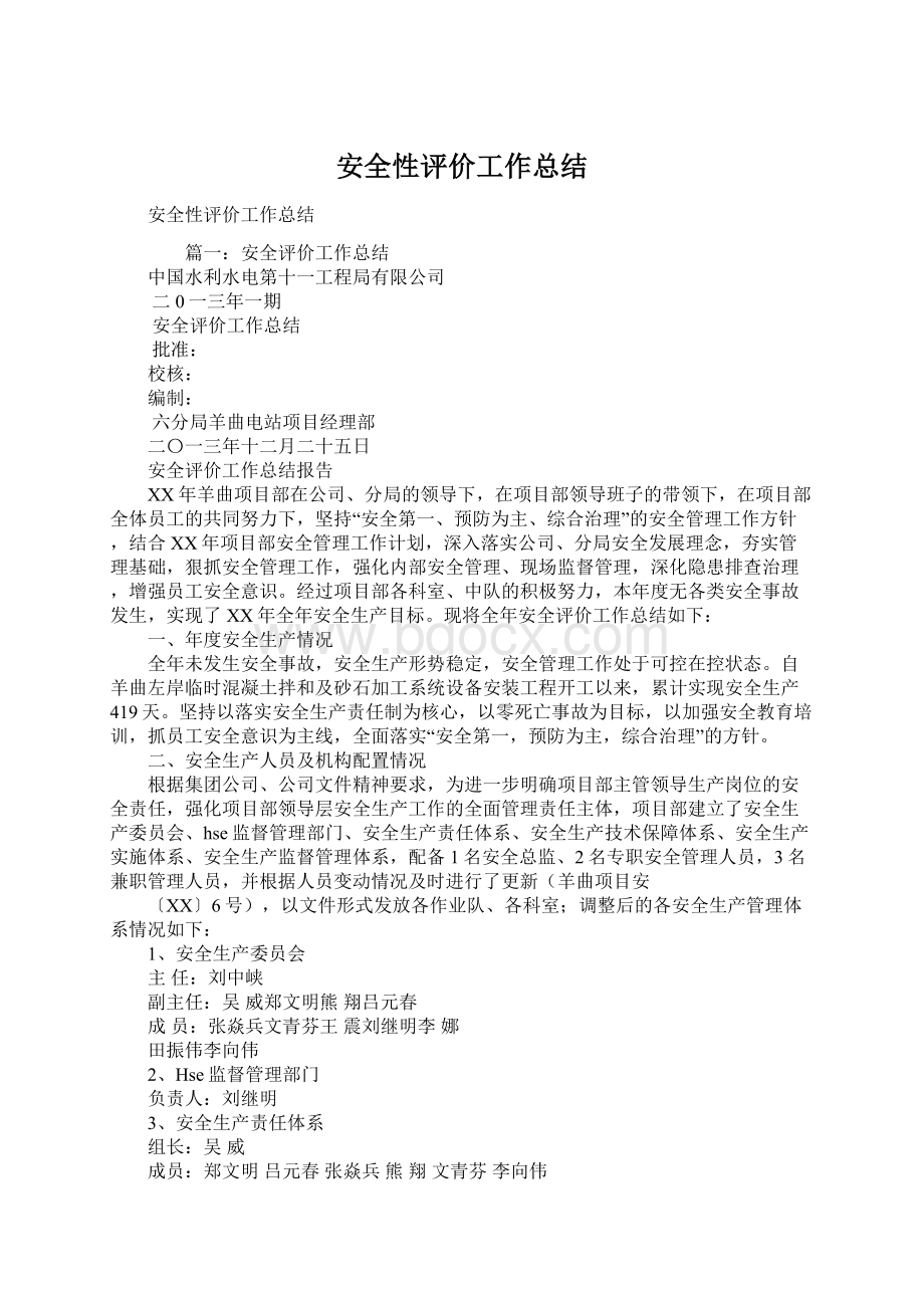 安全性评价工作总结.docx_第1页