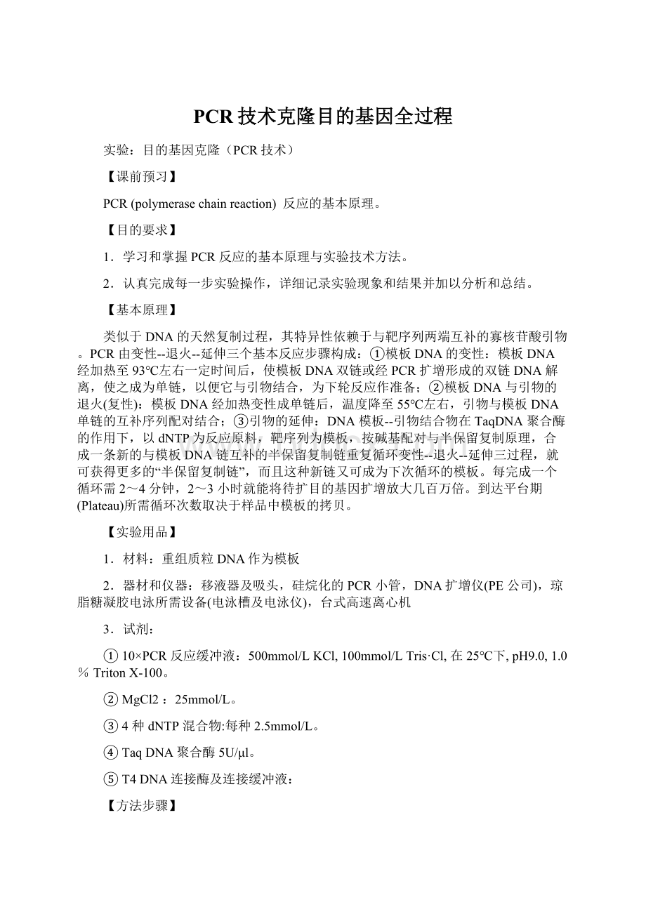 PCR技术克隆目的基因全过程Word文档格式.docx