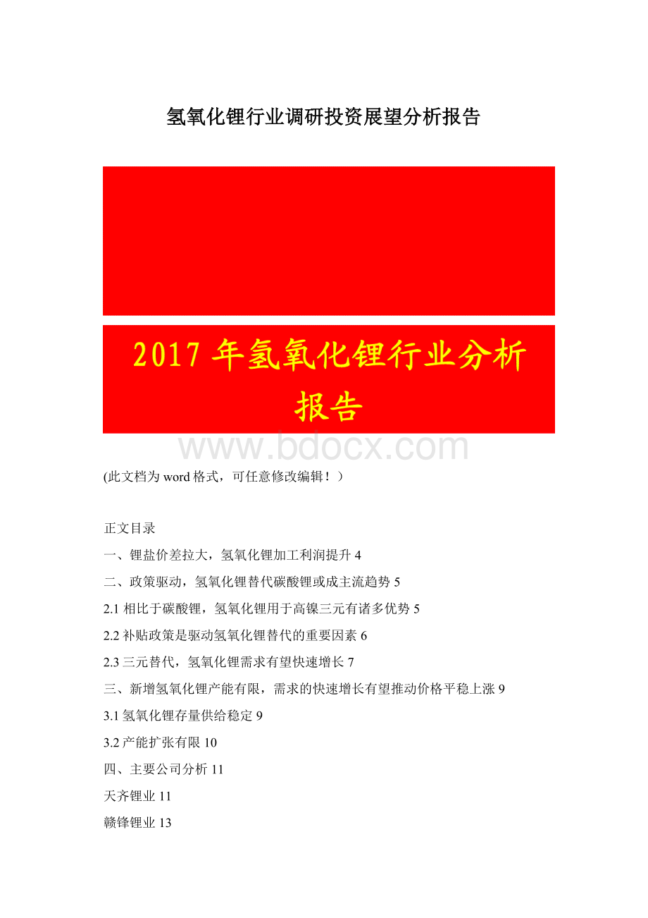 氢氧化锂行业调研投资展望分析报告.docx