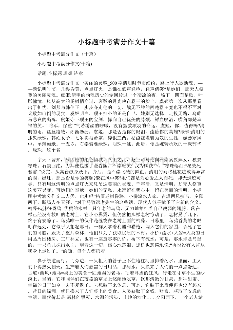 小标题中考满分作文十篇Word文档下载推荐.docx_第1页