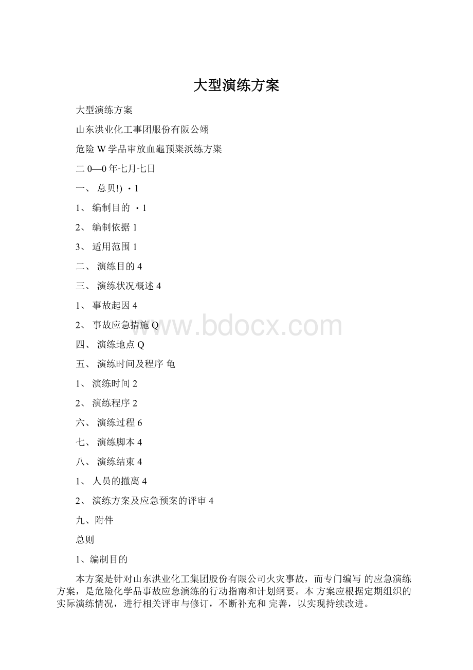 大型演练方案文档格式.docx