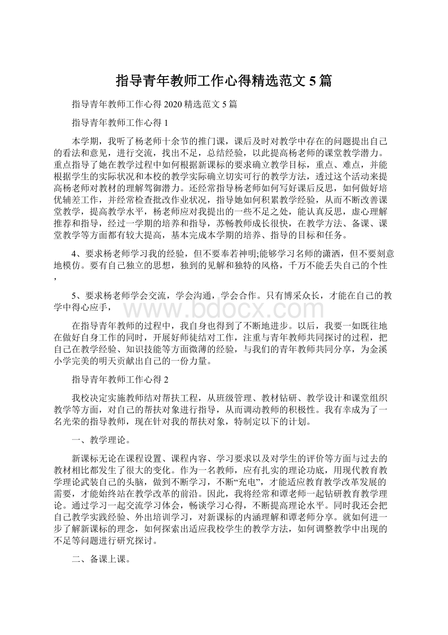 指导青年教师工作心得精选范文5篇.docx