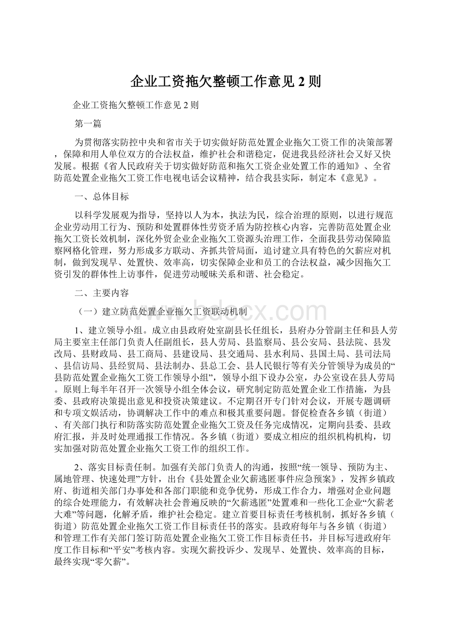 企业工资拖欠整顿工作意见2则.docx