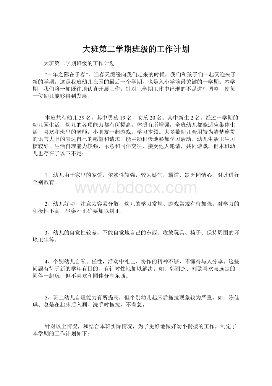 大班第二学期班级的工作计划文档格式.docx