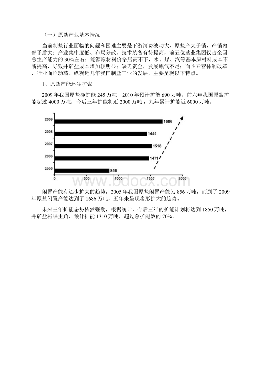 盐与盐产业调研报告.docx_第3页