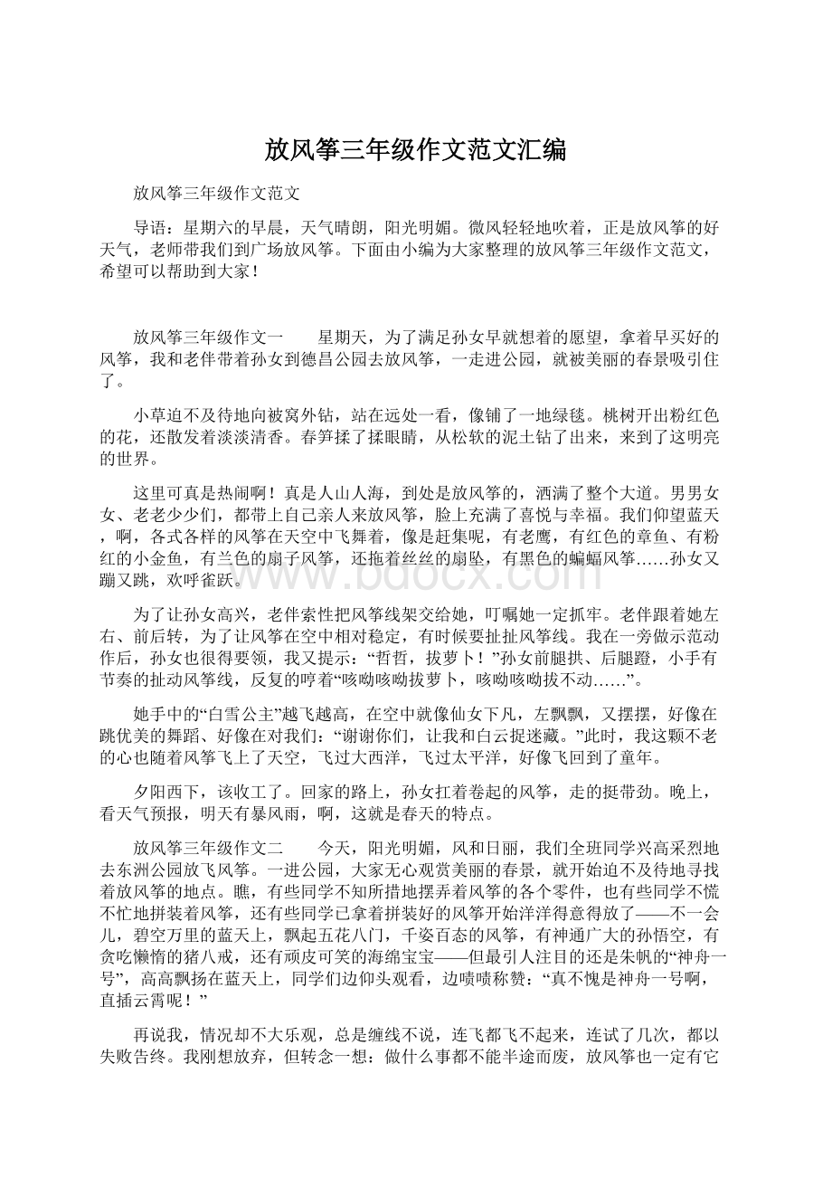 放风筝三年级作文范文汇编文档格式.docx