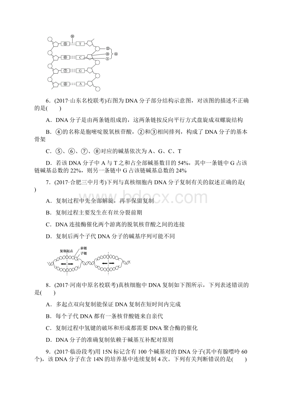 高中全程训练计划生物课练13 基因的本质Word格式.docx_第3页