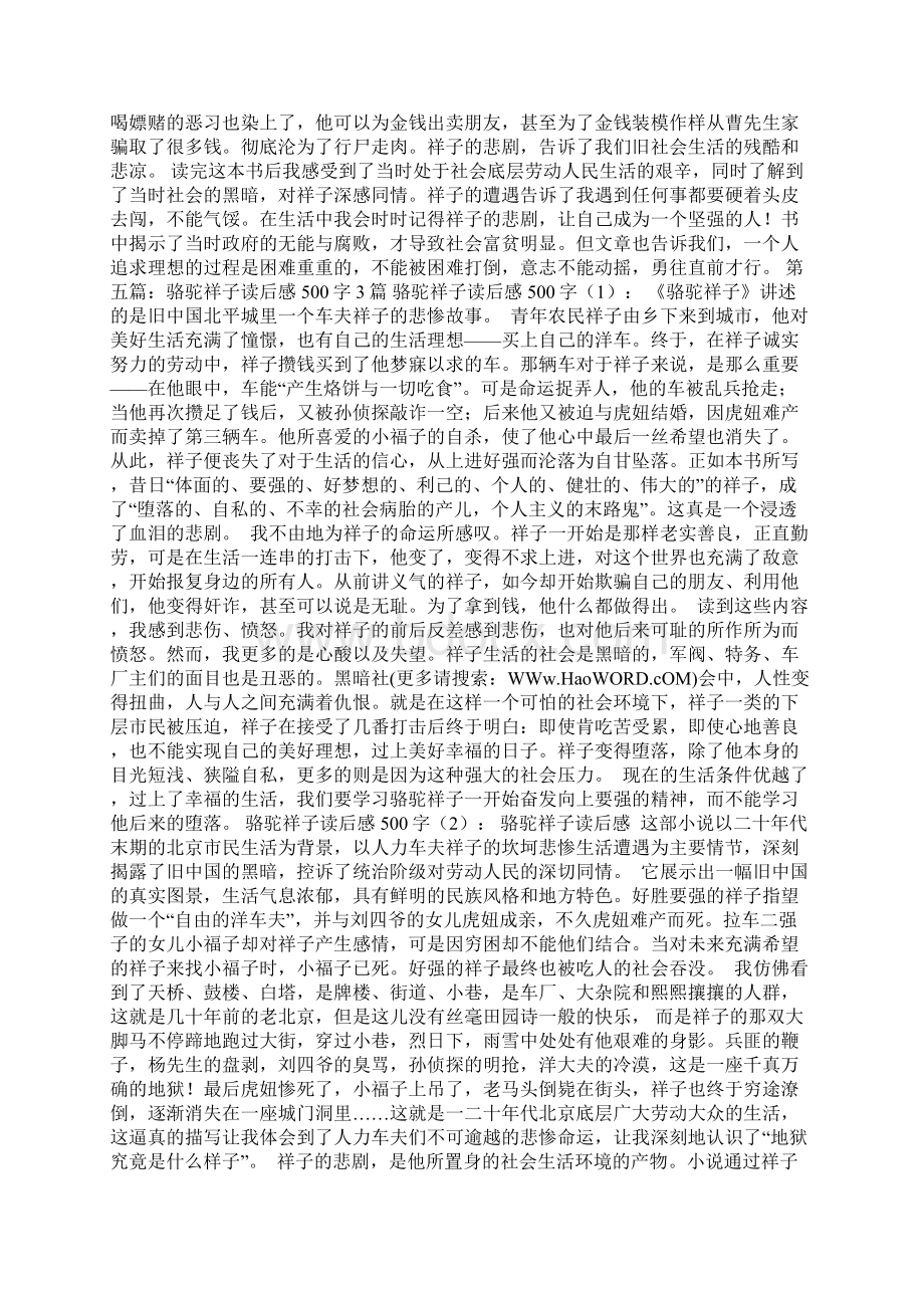 作文骆驼祥子读后感500字.docx_第3页