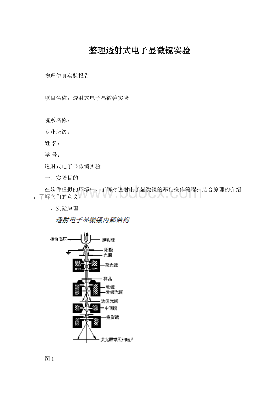 整理透射式电子显微镜实验文档格式.docx