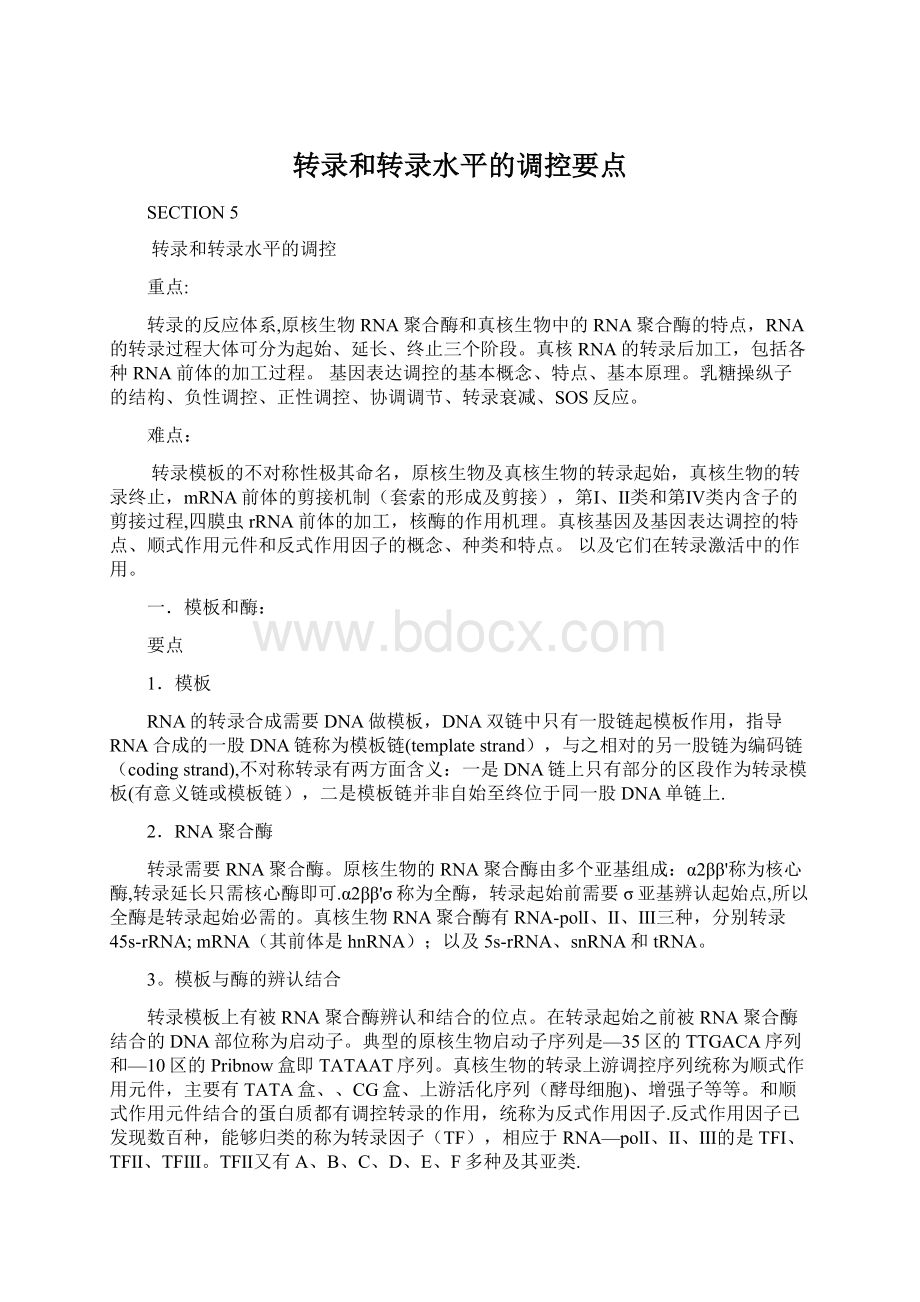 转录和转录水平的调控要点.docx_第1页