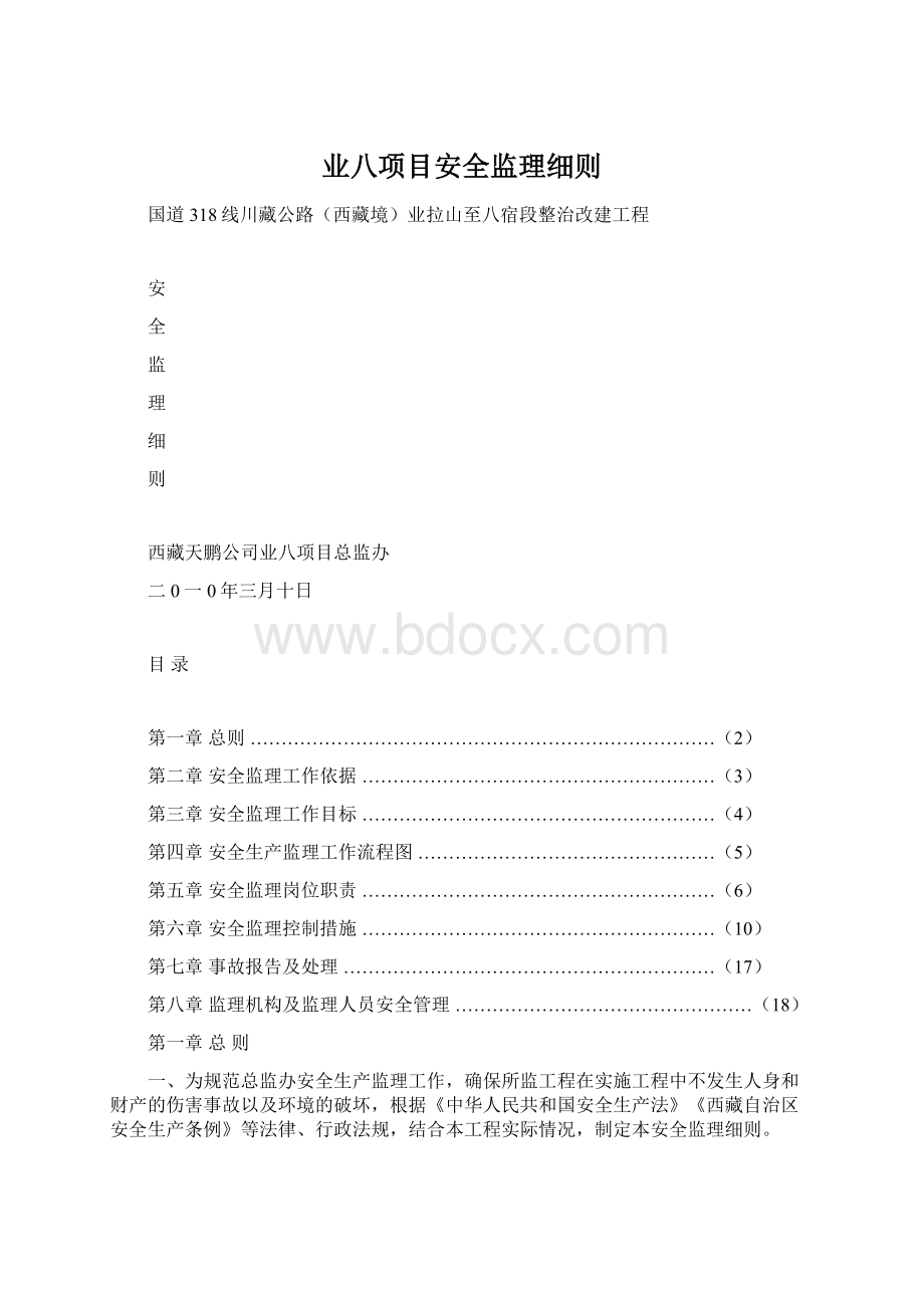 业八项目安全监理细则文档格式.docx