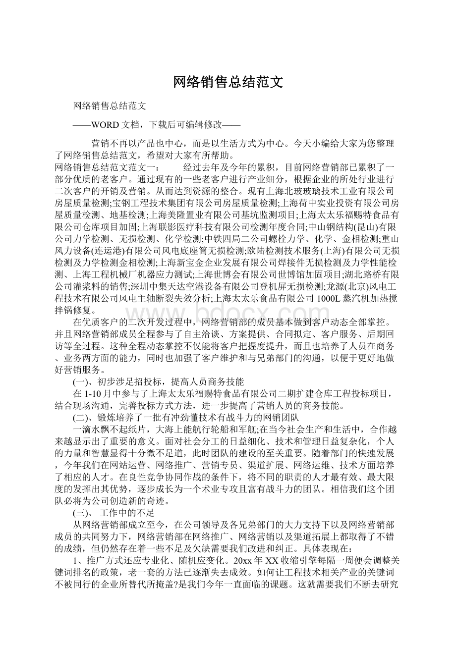 网络销售总结范文Word下载.docx