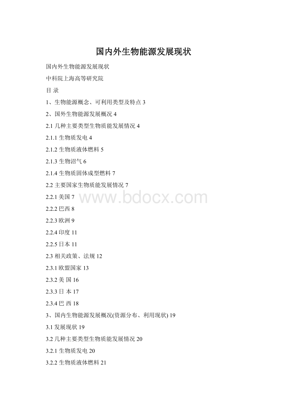 国内外生物能源发展现状Word格式.docx