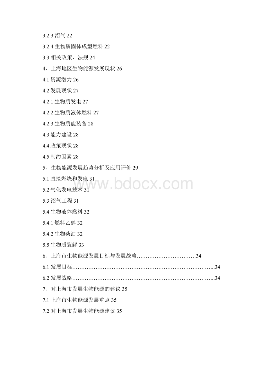 国内外生物能源发展现状Word格式.docx_第2页