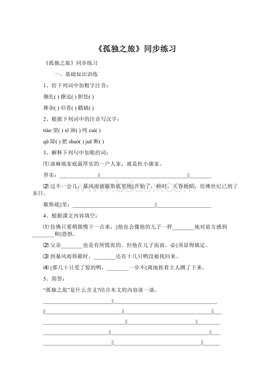 《孤独之旅》同步练习Word文档下载推荐.docx