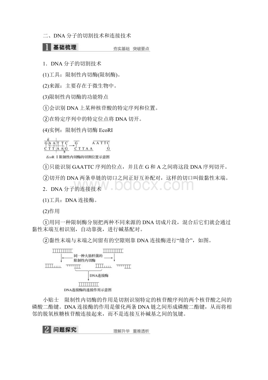 学年高中生物第章基因工程第节基因工程的基本原理和技术同步备课教学案.docx_第3页