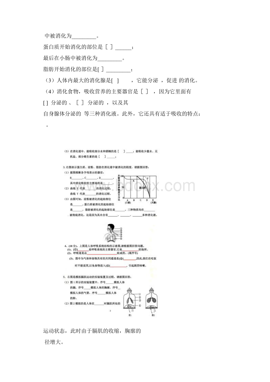 七年级生物下册识图专题复习Word文件下载.docx_第2页