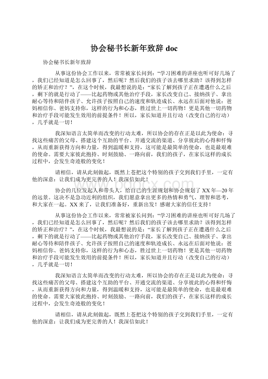 协会秘书长新年致辞docWord文档下载推荐.docx